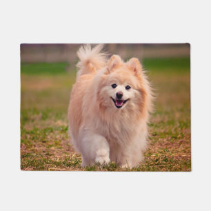 Pomeranian Dog. Doormat