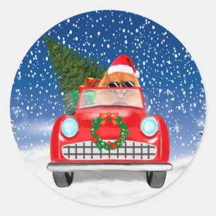 Pomeranian Dog Driving Car In Snow Christmas  Classic Round Sticker