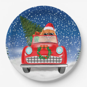 Pomeranian Dog Driving Car In Snow Christmas Paper Plate