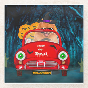 Pomeranian Dog Driving Car Scary Halloween  Glass Coaster