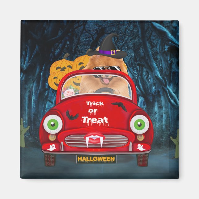 Pomeranian Dog Driving Car Scary Halloween Magnet (Front)