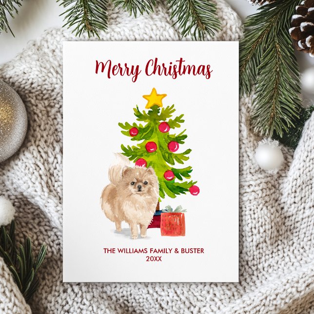 Pomeranian Dog Family Christmas Holiday Card (Creator Uploaded)