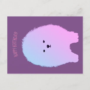 Pomeranian Dog, Fluffy Pet Postcard