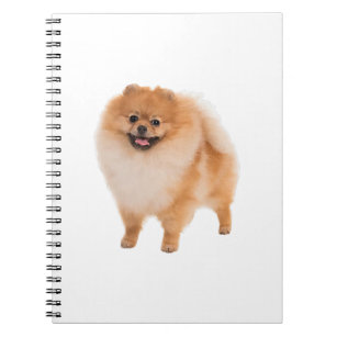 Pomeranian Dog Gift Notebook