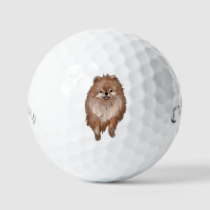 Pomeranian Dog  Golf Balls