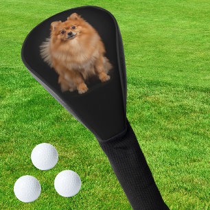 Pomeranian Dog Golf Driver Cover, Black Style Head Cover