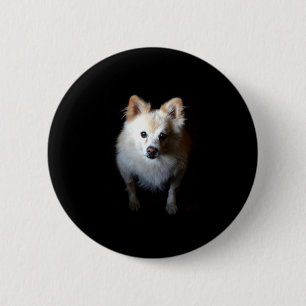 Pomeranian Dog in Dark 6 Cm Round Badge