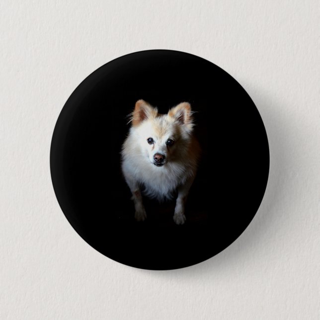 Pomeranian Dog in Dark 6 Cm Round Badge (Front)