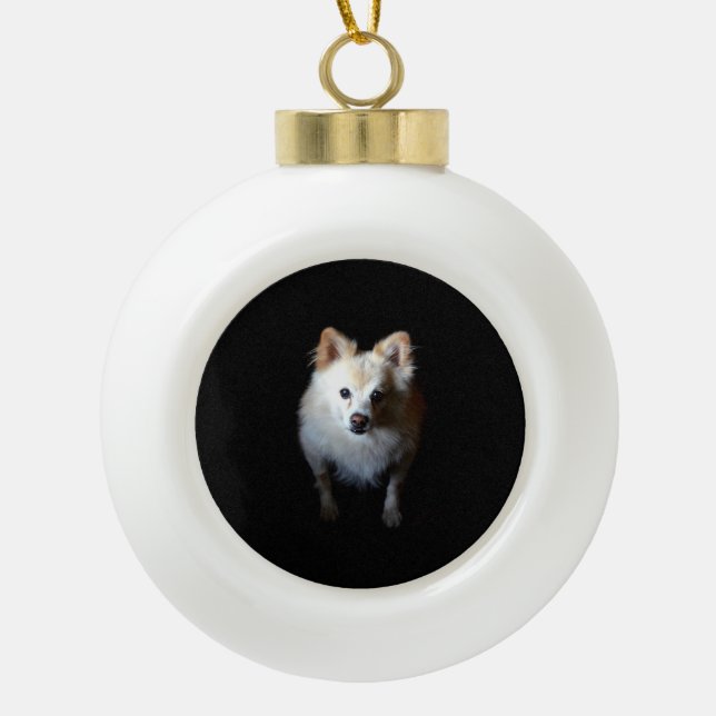 Pomeranian Dog in Dark Ceramic Christmas Ornament (Front)