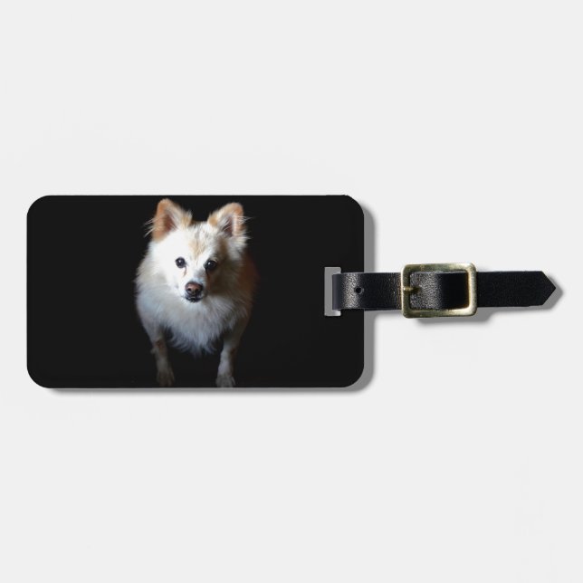 Pomeranian Dog in Dark Luggage Tag (Front Horizontal)