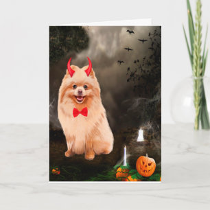 Pomeranian Dog in Halloween Costume Card