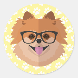 Pomeranian Dog In Nerd Glasses   Cute Hipster Gift Classic Round Sticker