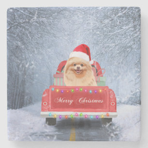 Pomeranian Dog in Snow sitting in Christmas Truck  Stone Coaster