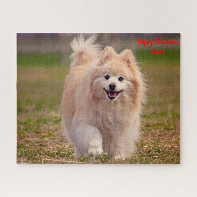 Pomeranian Dog. Jigsaw Puzzle (Horizontal)