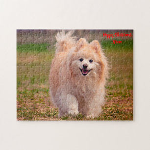 Pomeranian Dog. Jigsaw Puzzle