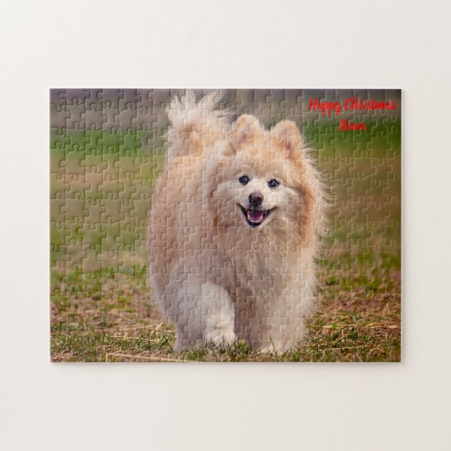 Pomeranian Dog. Jigsaw Puzzle (Horizontal)