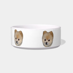 Pomeranian Dog Pet Dish