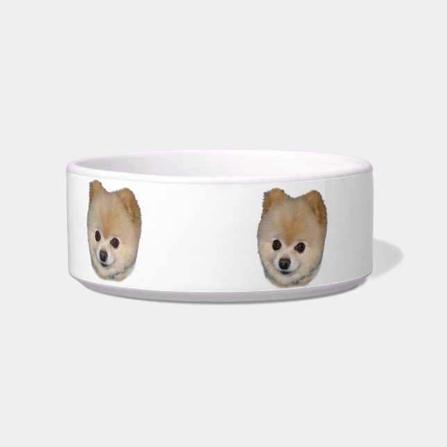 Pomeranian Dog Pet Dish (Left)