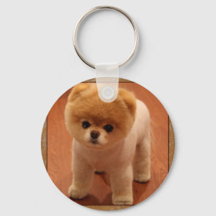 Pomeranian Dog Pet Puppy Small Adorable baby Key Ring