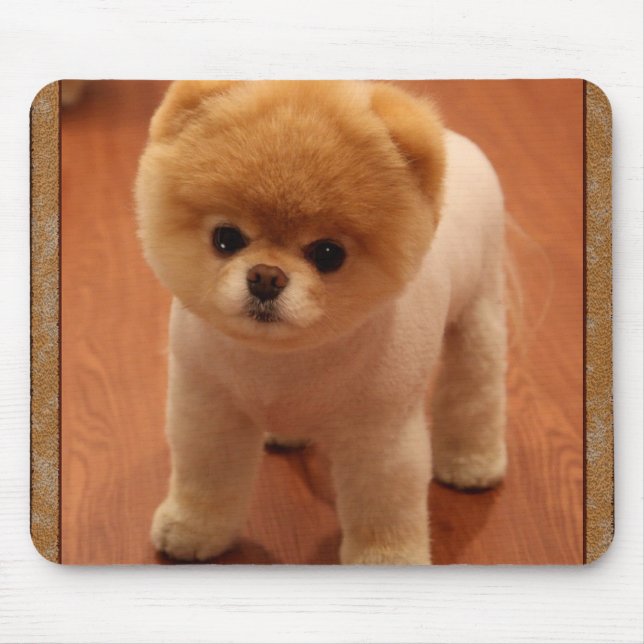 Pomeranian Dog Pet Puppy Small Adorable baby Mouse Mat (Front)