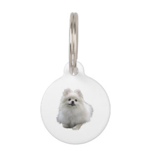 Pomeranian Dog Pet Tag