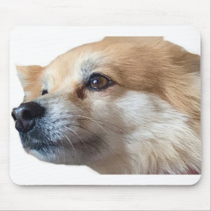 Pomeranian Dog Puppy Pommy Pommie Pet Mouse Mat