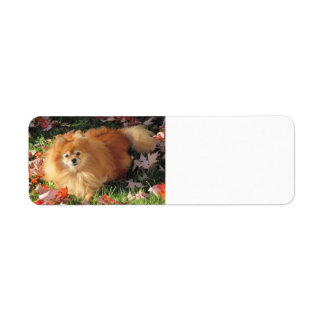 Pomeranian dog Return Address Label Autumn