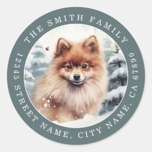 Pomeranian Dog Round Stickers