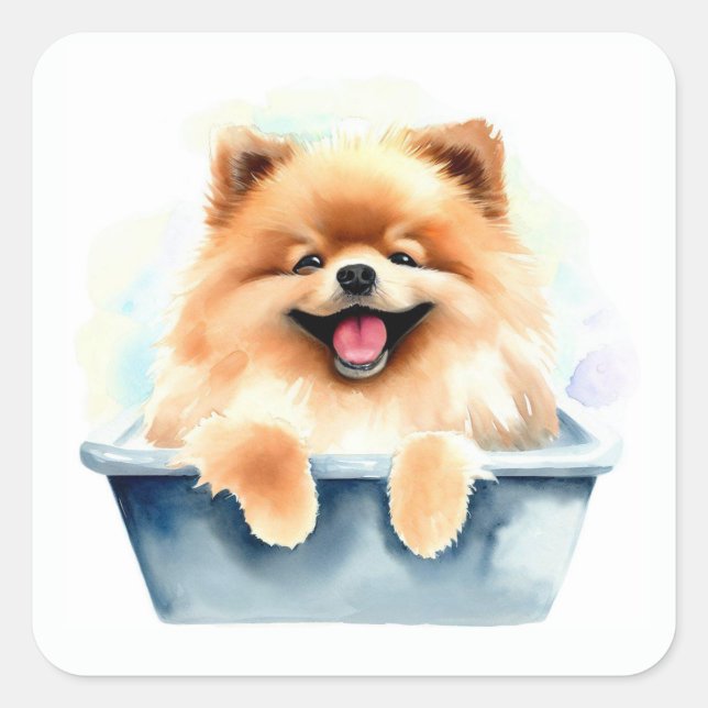 Pomeranian Dog Square Sticker (Front)
