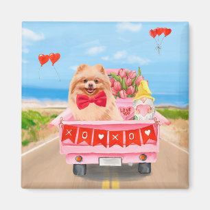 Pomeranian Dog Valentine's Day Truck Hearts Magnet
