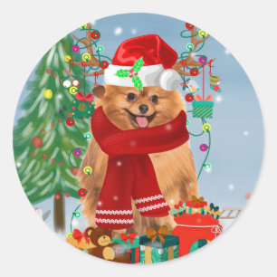 Pomeranian dog with Christmas gifts   Classic Round Sticker