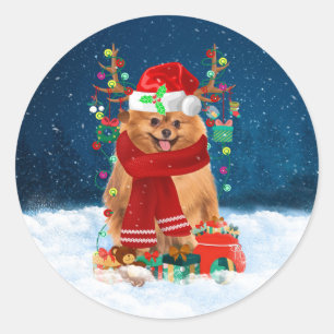 Pomeranian dog with Christmas gifts  Classic Round Sticker