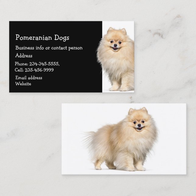 Pomeranian Dogs Breeder Pet Sitter  Business Card (Front/Back)