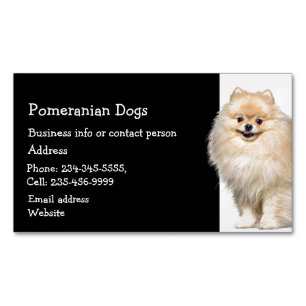 Pomeranian Dogs Breeder Pet Sitter   Magnetic Business Card