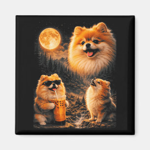Pomeranian Drinking Iced Coffee Lover Howling 3 to Magnet