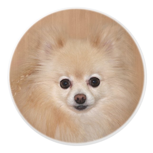 Pomeranian face ceramic knob (Front)