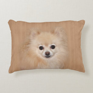 Pomeranian face decorative cushion