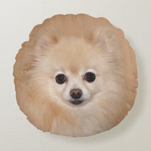 Pomeranian face round cushion