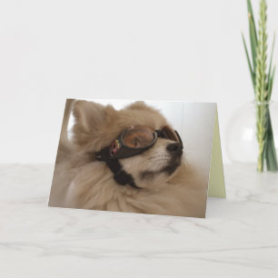 Pomeranian Friendship Card