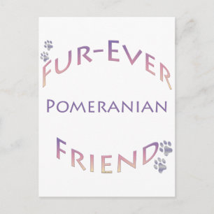 Pomeranian Furever Postcard