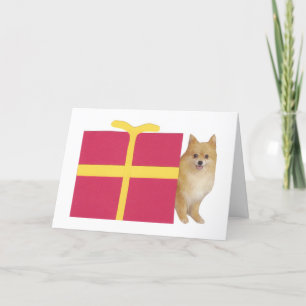 Pomeranian Gift Box Holiday Card
