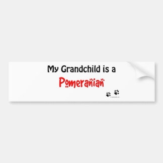 Pomeranian Grandchild Bumper Sticker
