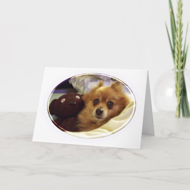 Pomeranian Happy Birthday Card (Front)
