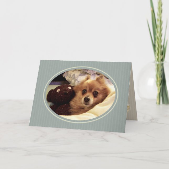 Pomeranian Happy Birthday Wishes Card (Front)