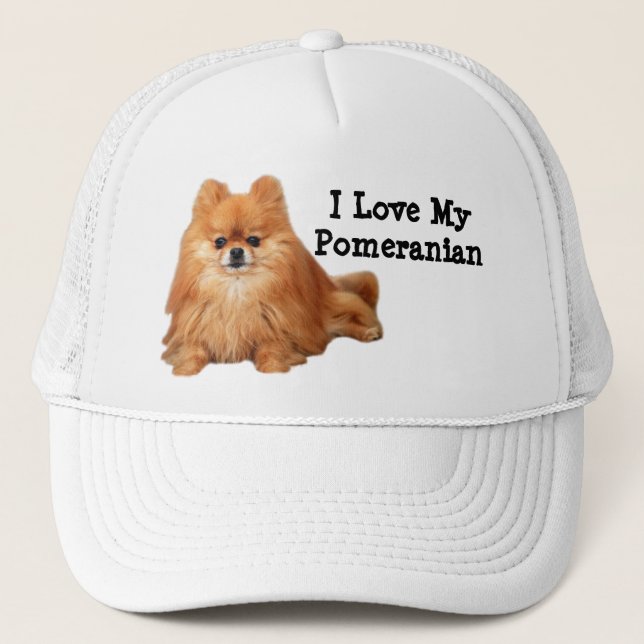 Pomeranian Hat (Front)