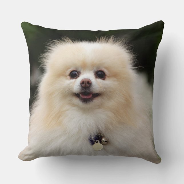 Pomeranian Headshot 1 Cushion (Front)