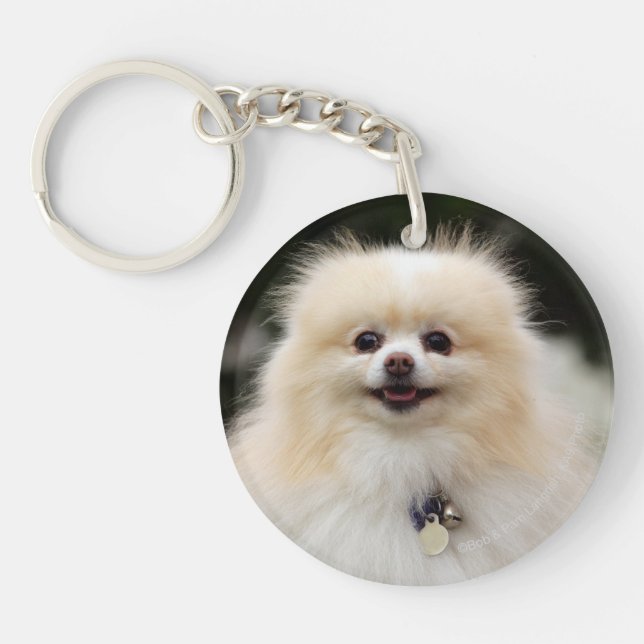 Pomeranian Headshot 1 Key Ring (Front)