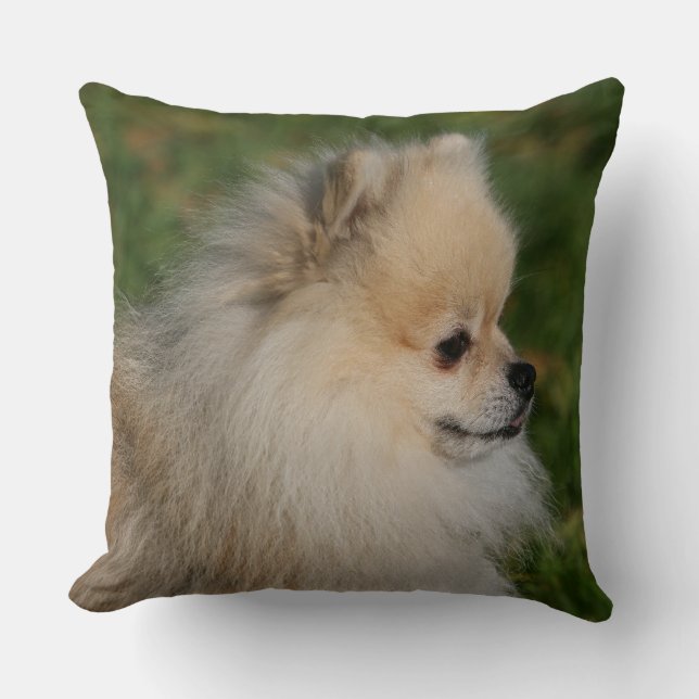 Pomeranian Headshot 2 Cushion (Front)
