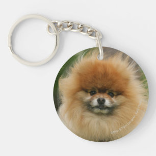 Pomeranian Headshot Looking at Camera Key Ring