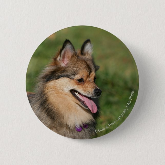 Pomeranian Headshot Panting 6 Cm Round Badge (Front)